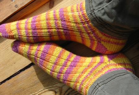 Socks Regia Surf Color Cotton