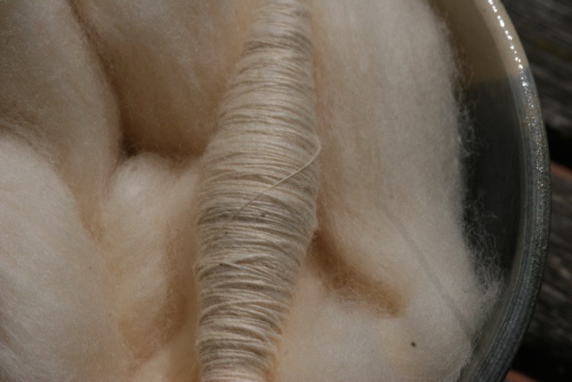 Cotton Spinning on a Tahkli - Detail